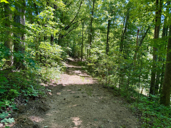Listing Image 33