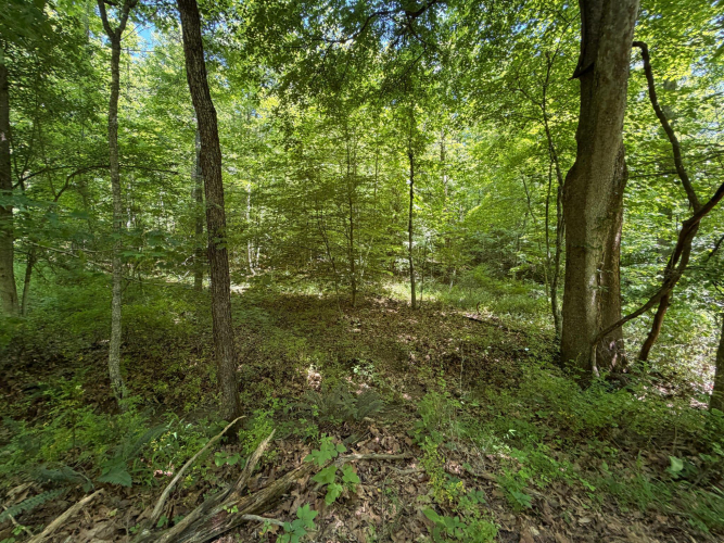 Listing Image 37