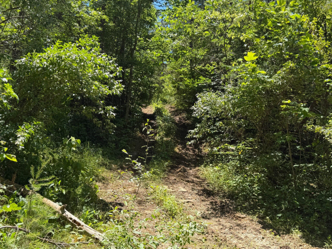 Listing Image 38