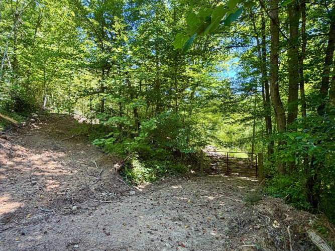 Listing Image 40