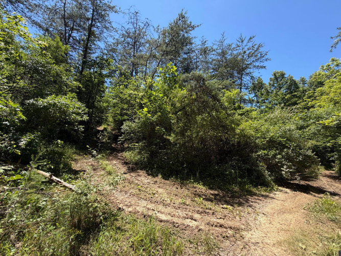 Listing Image 42