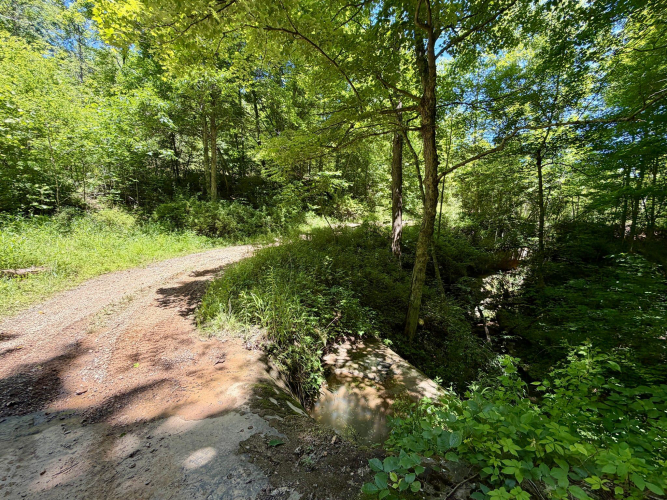 Listing Image 46