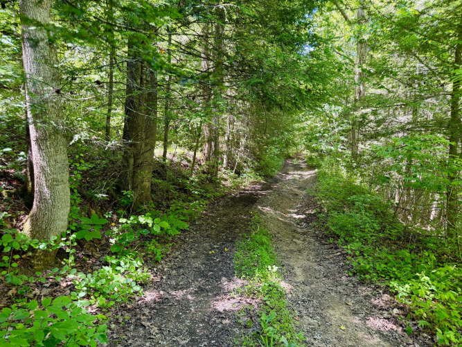 Listing Image 47