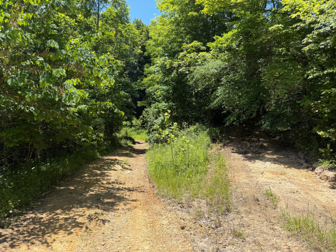 Listing Image 50
