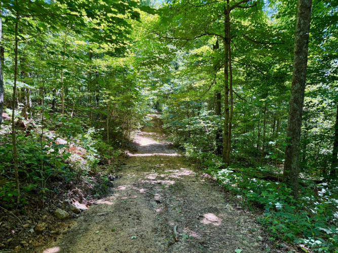 Listing Image 51