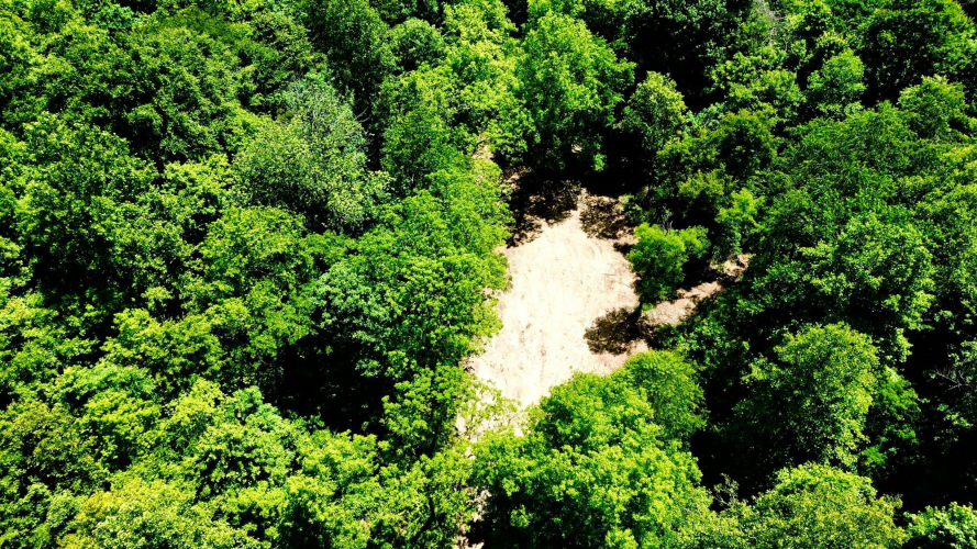 Listing Image 9
