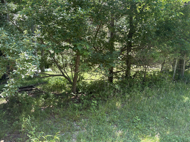 Listing Image 29