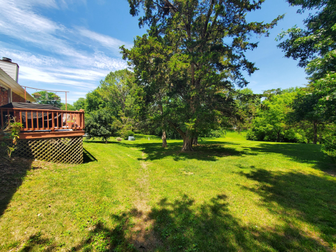Listing Image 7