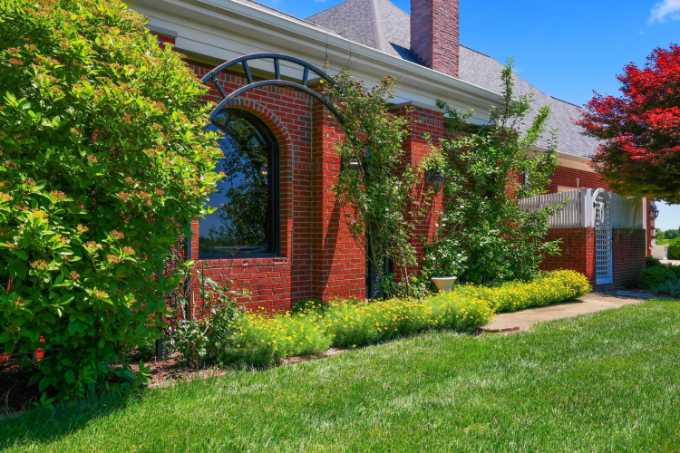 Listing Image 82
