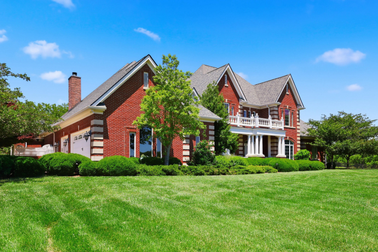 Listing Image 85