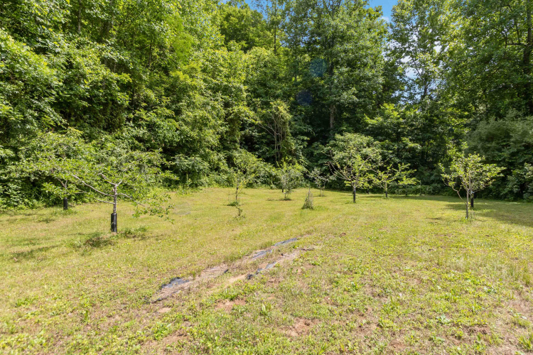 Listing Image 42