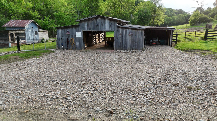 Listing Image 5