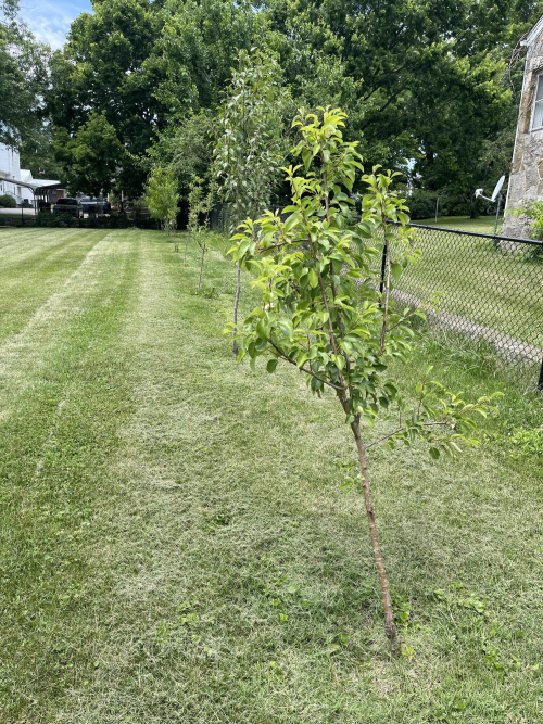 Listing Image 58