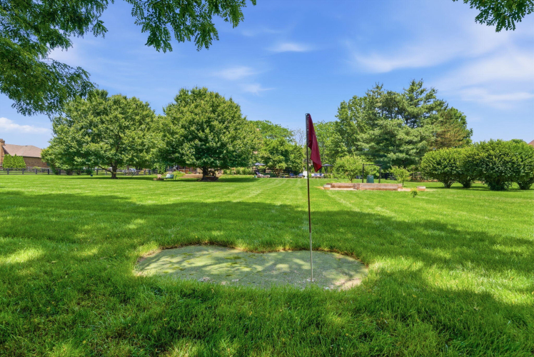 Listing Image 106