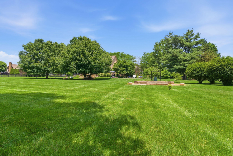 Listing Image 107