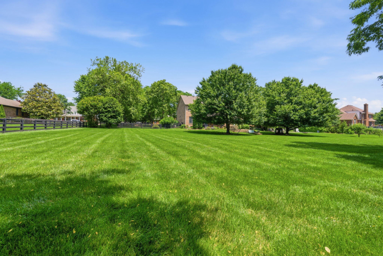 Listing Image 110