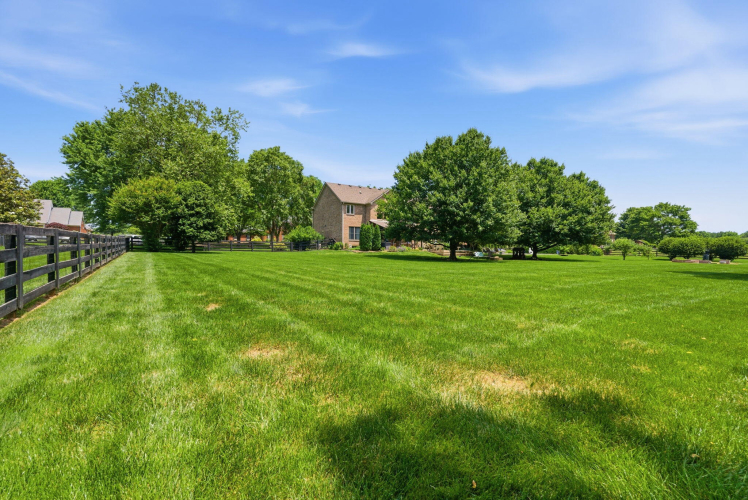 Listing Image 111