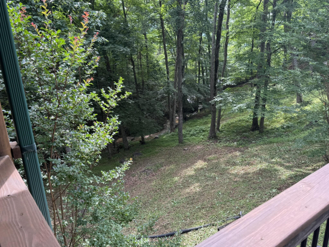 Listing Image 51