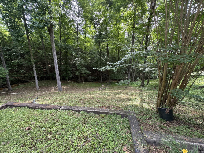 Listing Image 53