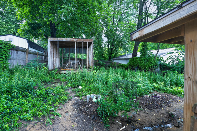 Listing Image 27