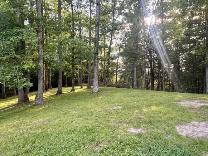 Listing Image 52