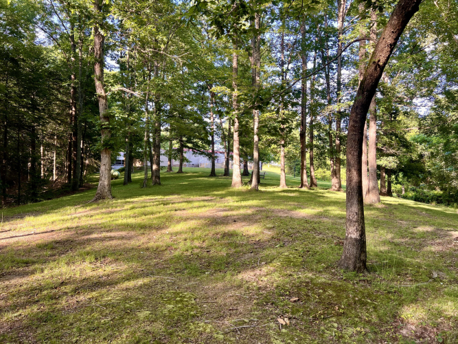 Listing Image 53