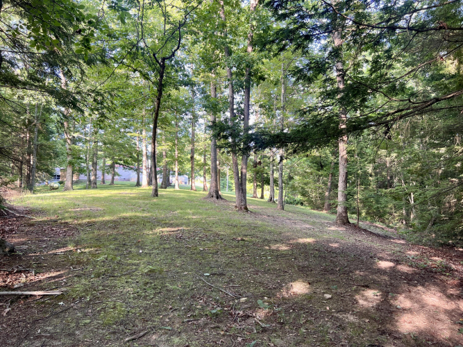Listing Image 54