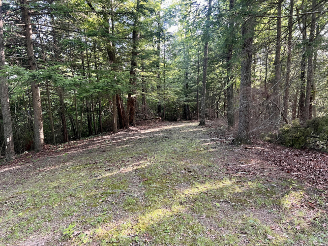 Listing Image 55