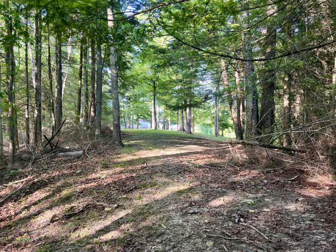 Listing Image 56