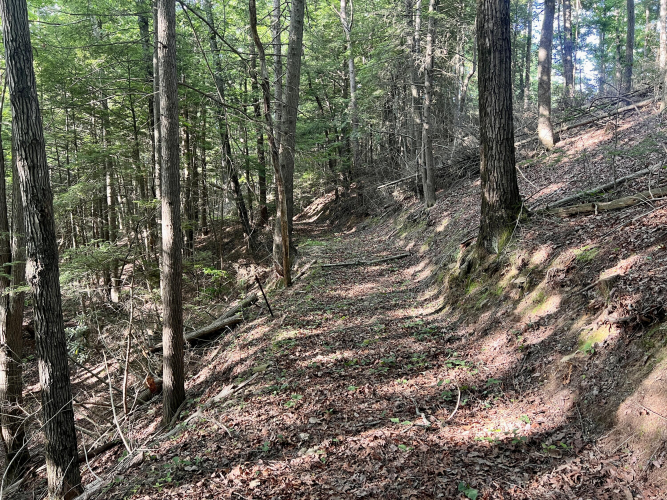Listing Image 57