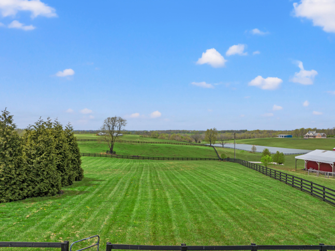 Listing Image 65