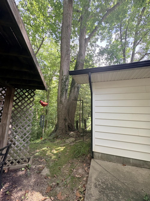 Listing Image 32
