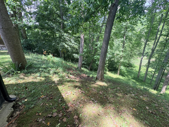 Listing Image 34
