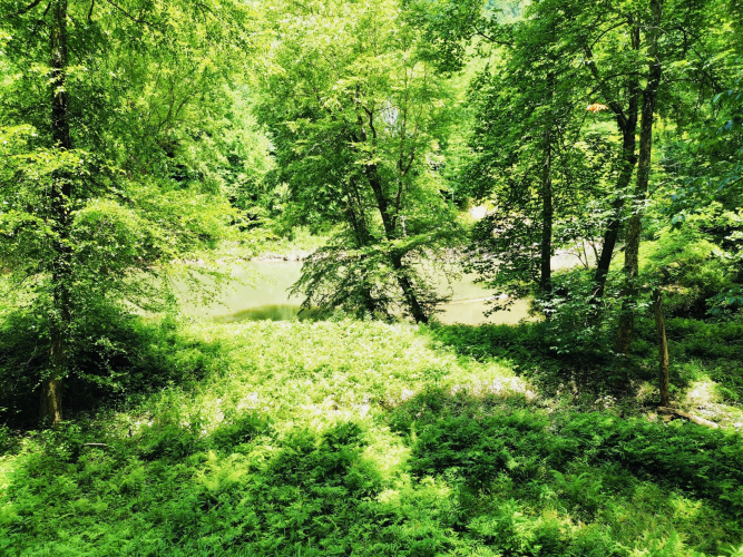 Listing Image 39
