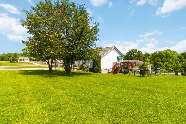 Listing Image 32