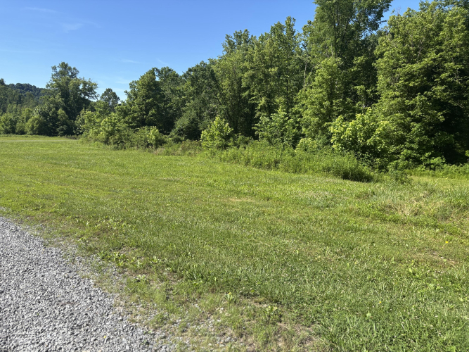 Listing Image 27