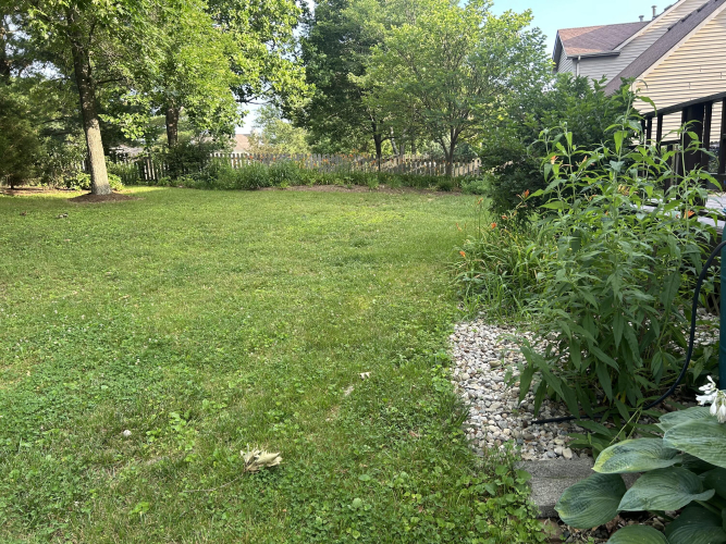 Listing Image 47