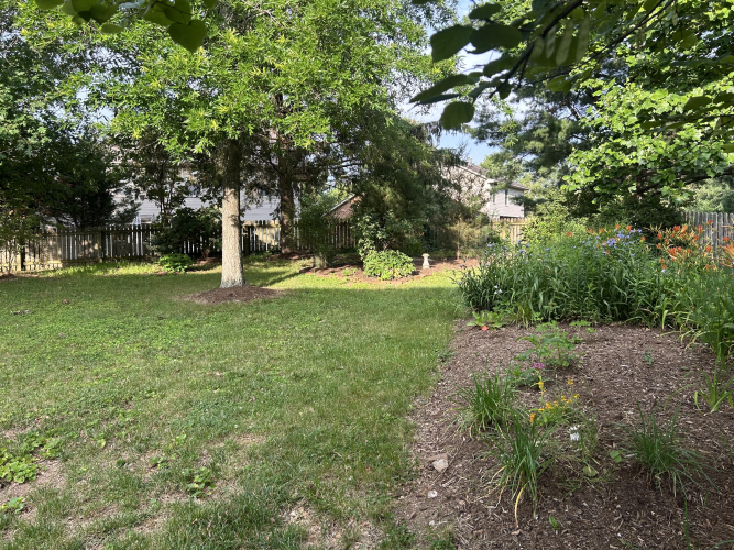Listing Image 48
