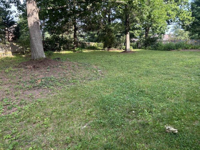 Listing Image 50