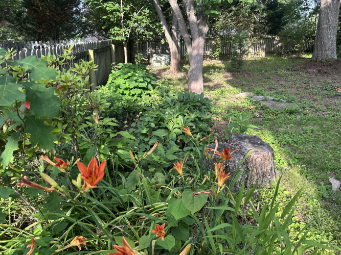 Listing Image 51
