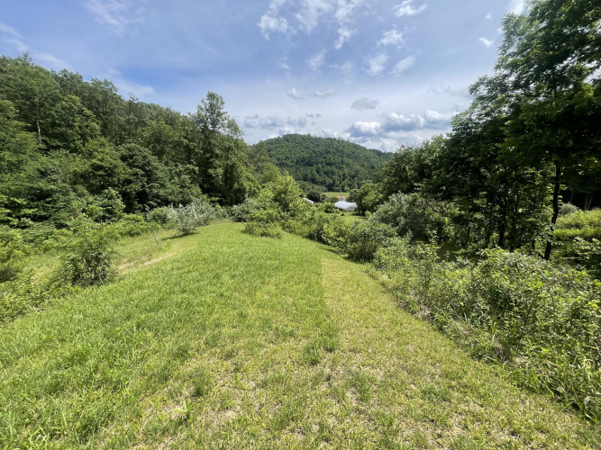 Listing Image 18