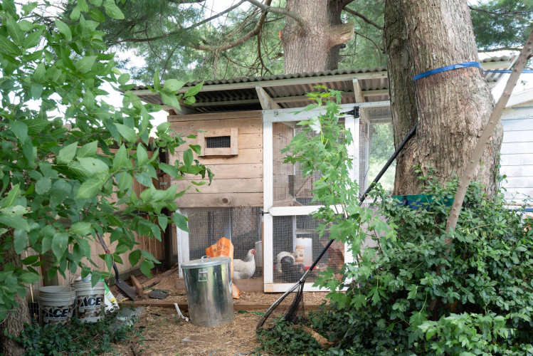 Listing Image 12