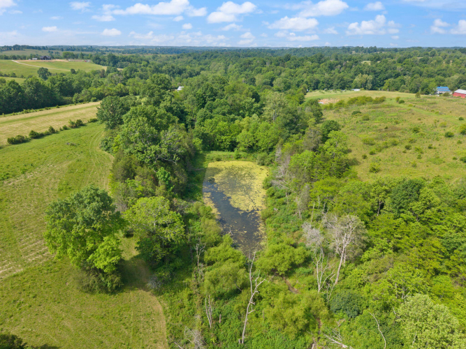Listing Image 55