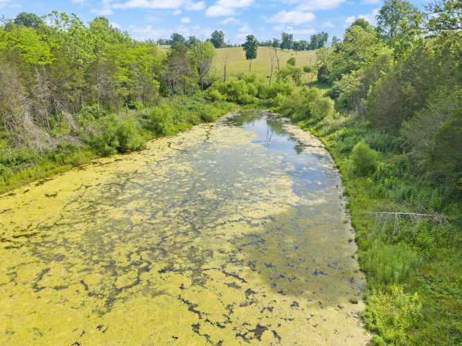 Listing Image 56