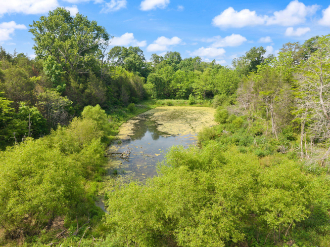 Listing Image 57