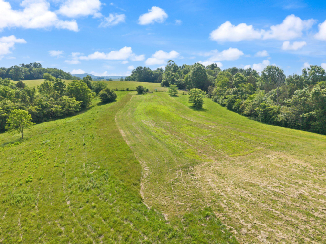 Listing Image 58