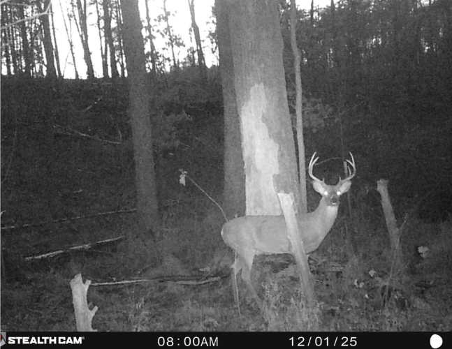Listing Image 26