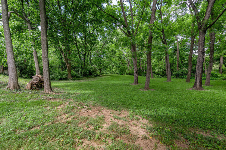 Listing Image 31