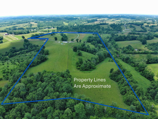 Listing Image 14