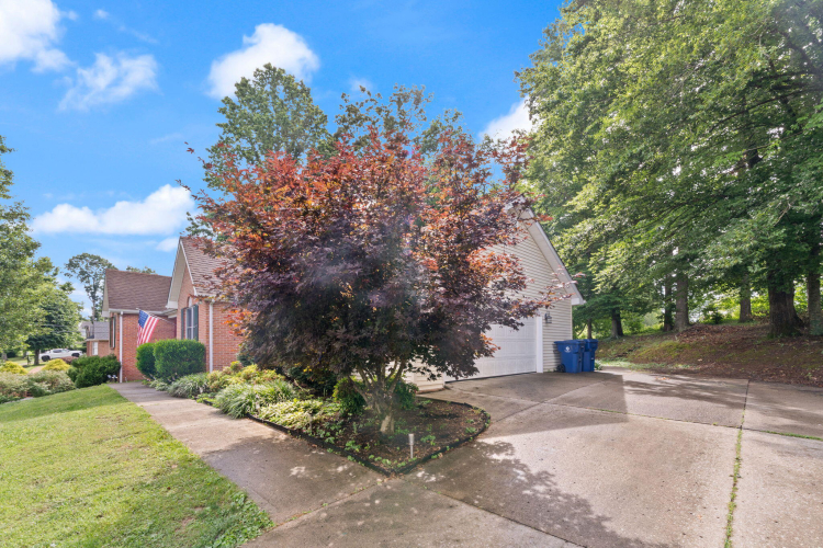 Listing Image 58